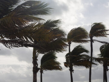 Hurricane Preparedness for Florida Homeowners