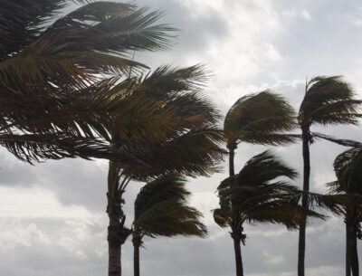 Hurricane Preparedness for Florida Homeowners