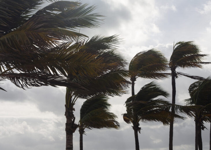 Hurricane Preparedness for Florida Homeowners