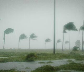 Don’t Get Caught in a Whirlwind – Prepare Now for Hurricanes!