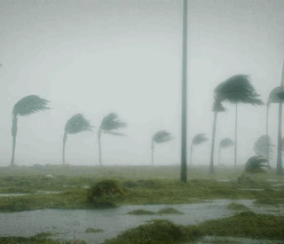 Don’t Get Caught in a Whirlwind – Prepare Now for Hurricanes!