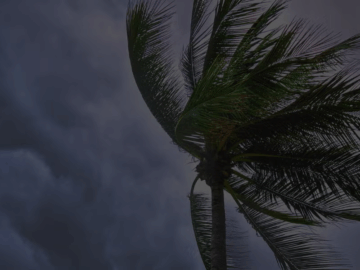 Help Your Home—and Wallet—Stand Up to High Winds