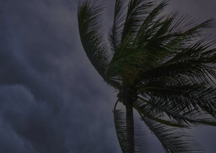 Help Your Home Stand Up to High Winds